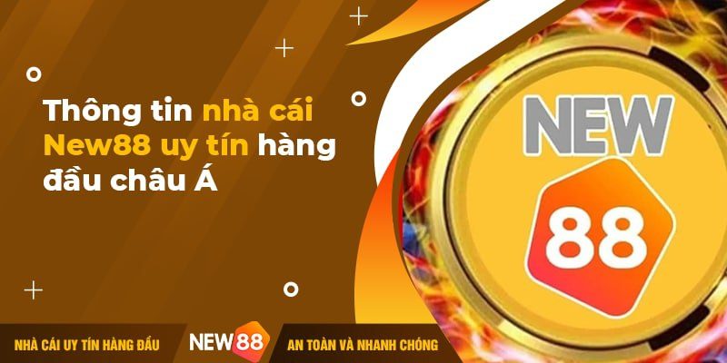 New88 Có Uy Tín Không? Tìm Hiểu Thực Hư Tin Đồn Về New88